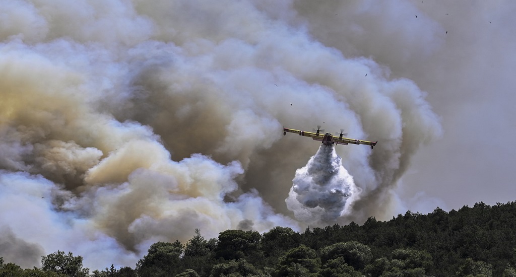 Πυρκαγιές: Επιστήμονες μιλούν για τη διαχείριση των δασών