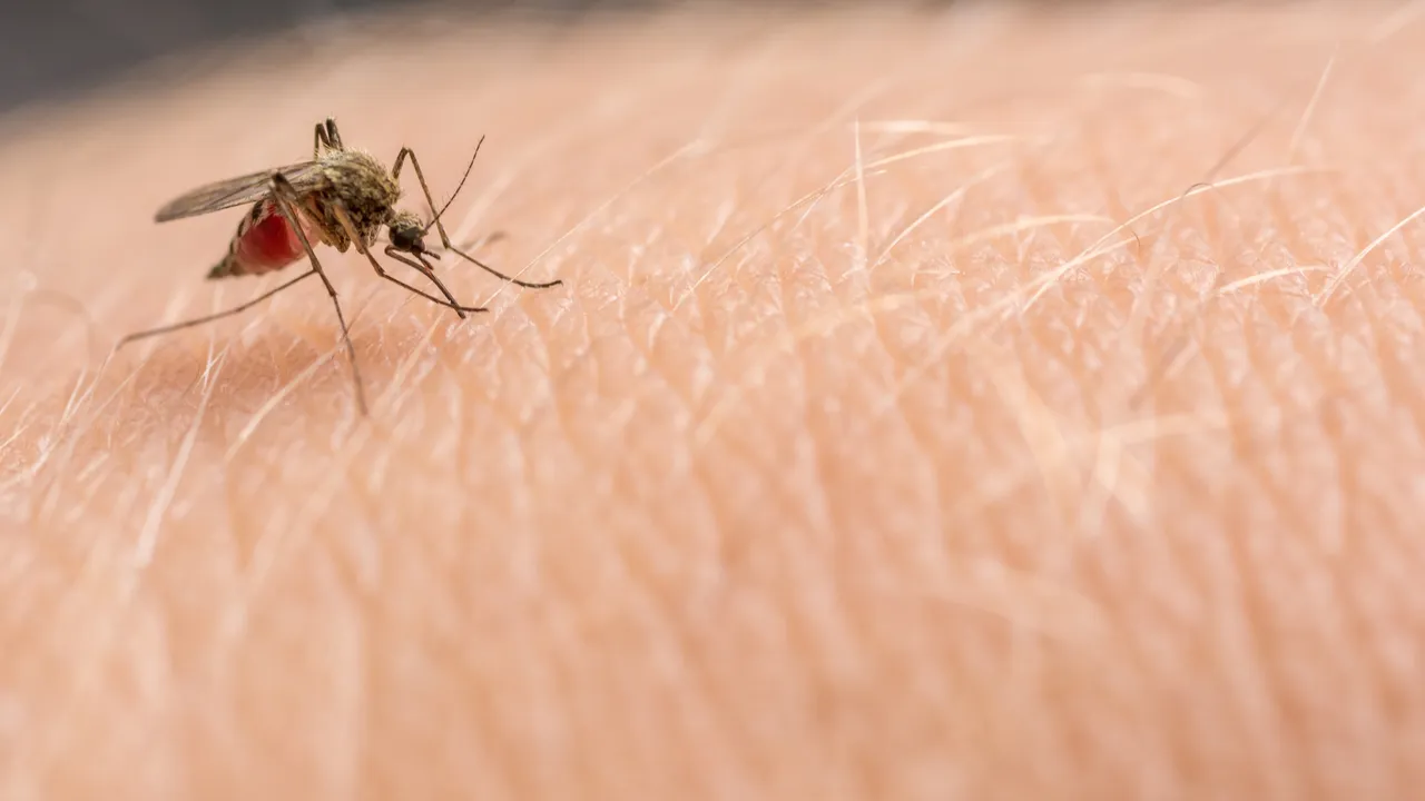 Ελονοσία ΗΠΑ: Τι πρέπει να γνωρίζουμε