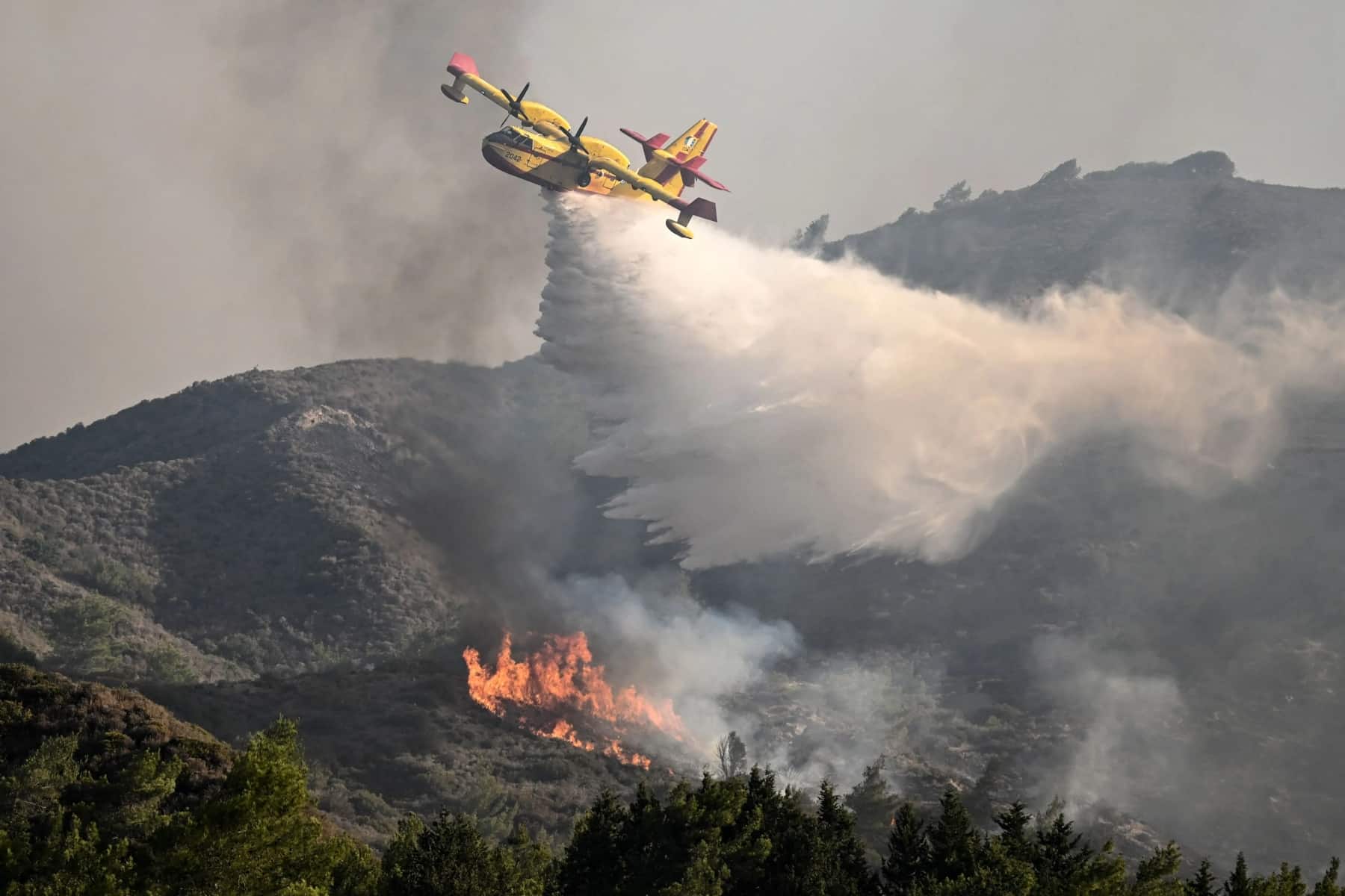 Φωτιά Εύβοια: Φωτιά τώρα στην Εύβοια στη θέση Πετριές