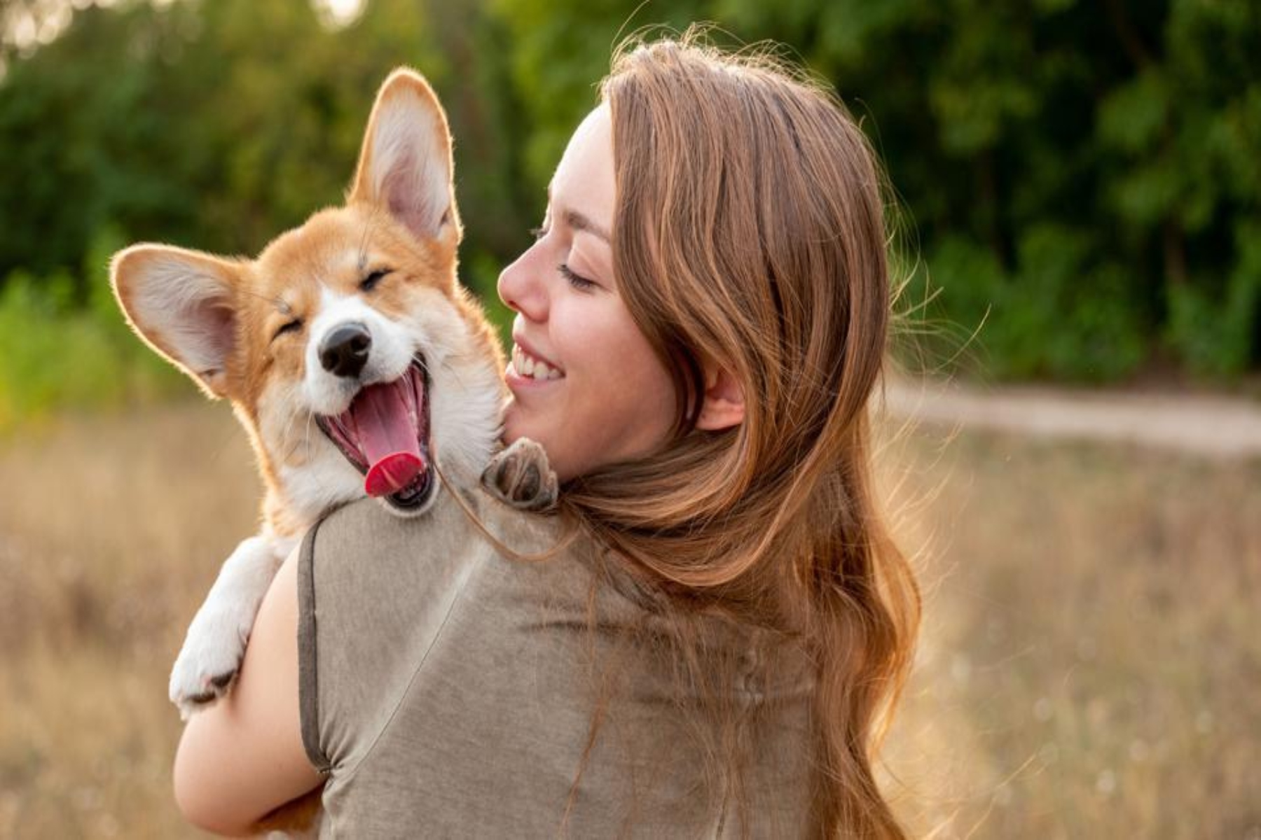 Σκύλοι χάδι: Χαϊδεύοντας τον σκύλο σας, βελτιώνετε την ψυχική σας υγεία