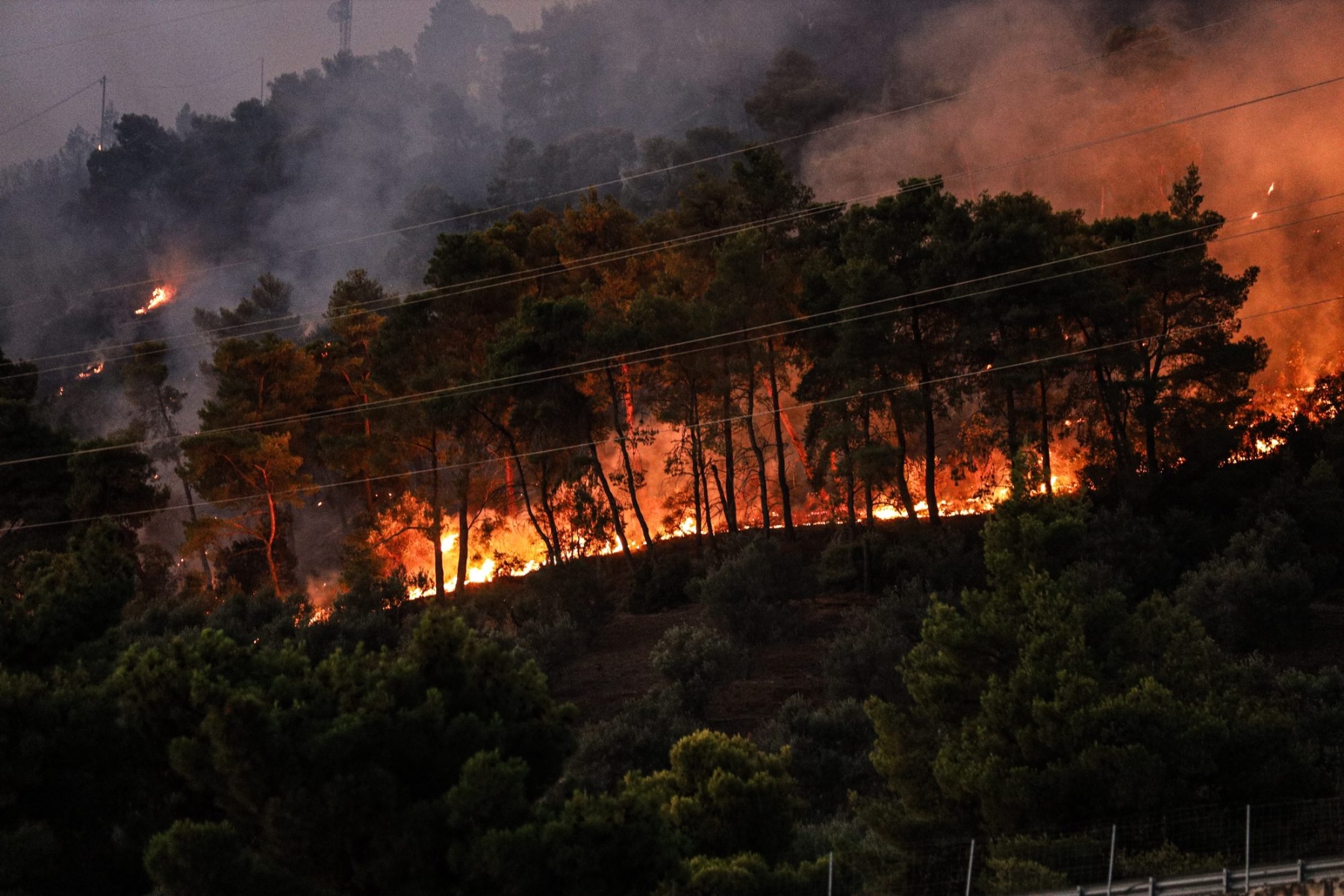 Πυρόπληκτοι Έβρος: Κρατική αρωγή για την στήριξη των πληγεισών περιοχών