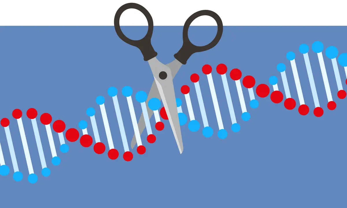 Αναιμία: Αντιμετώπισή της με το γονιδιακό ψαλίδι CRISPR-Cas9