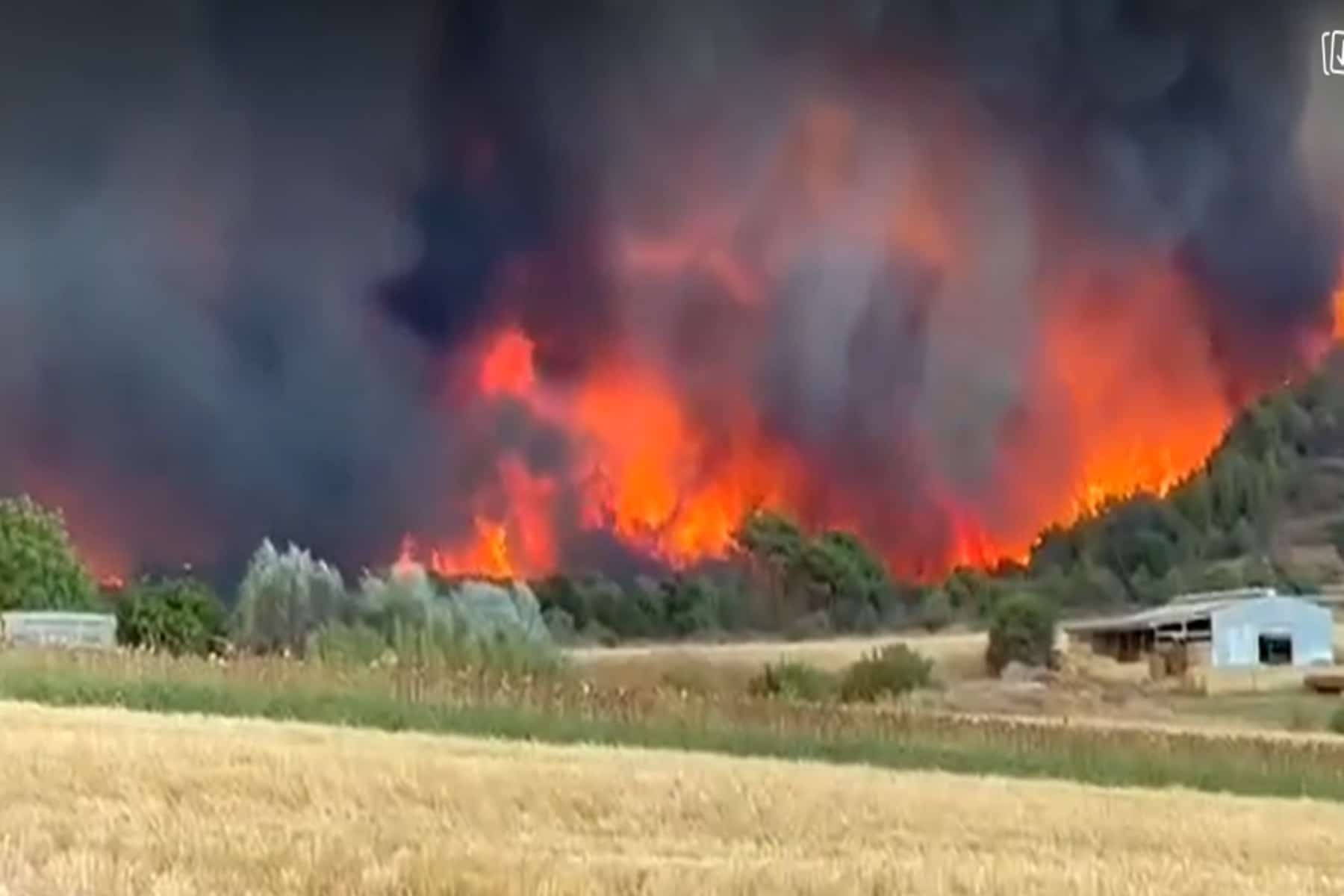 Έβρος φωτιά: Εκτός ελέγχου η φωτιά στον Έβρο, έκτακτη σύσκεψη Κικίλια