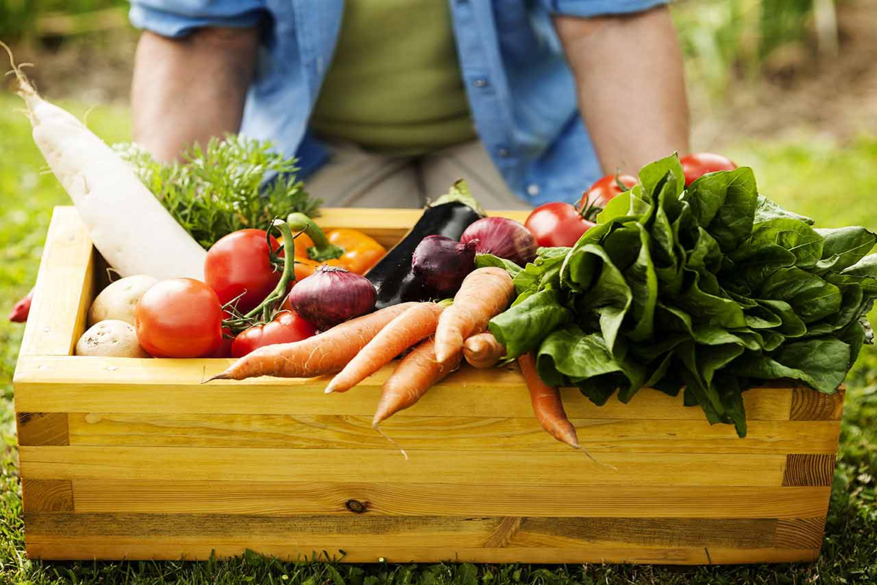 Λαχανικά: Δημιουργήστε τον δικό σας λαχανόκηπο