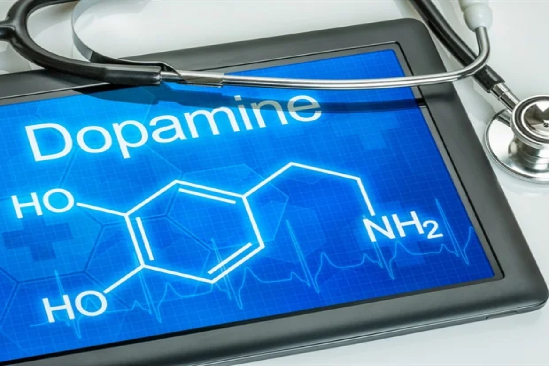 Εγκέφαλος ντοπαμίνη: Ερευνητές βρίσκουν διακόπτες που ελέγχουν την ντοπαμίνη στον εγκέφαλο