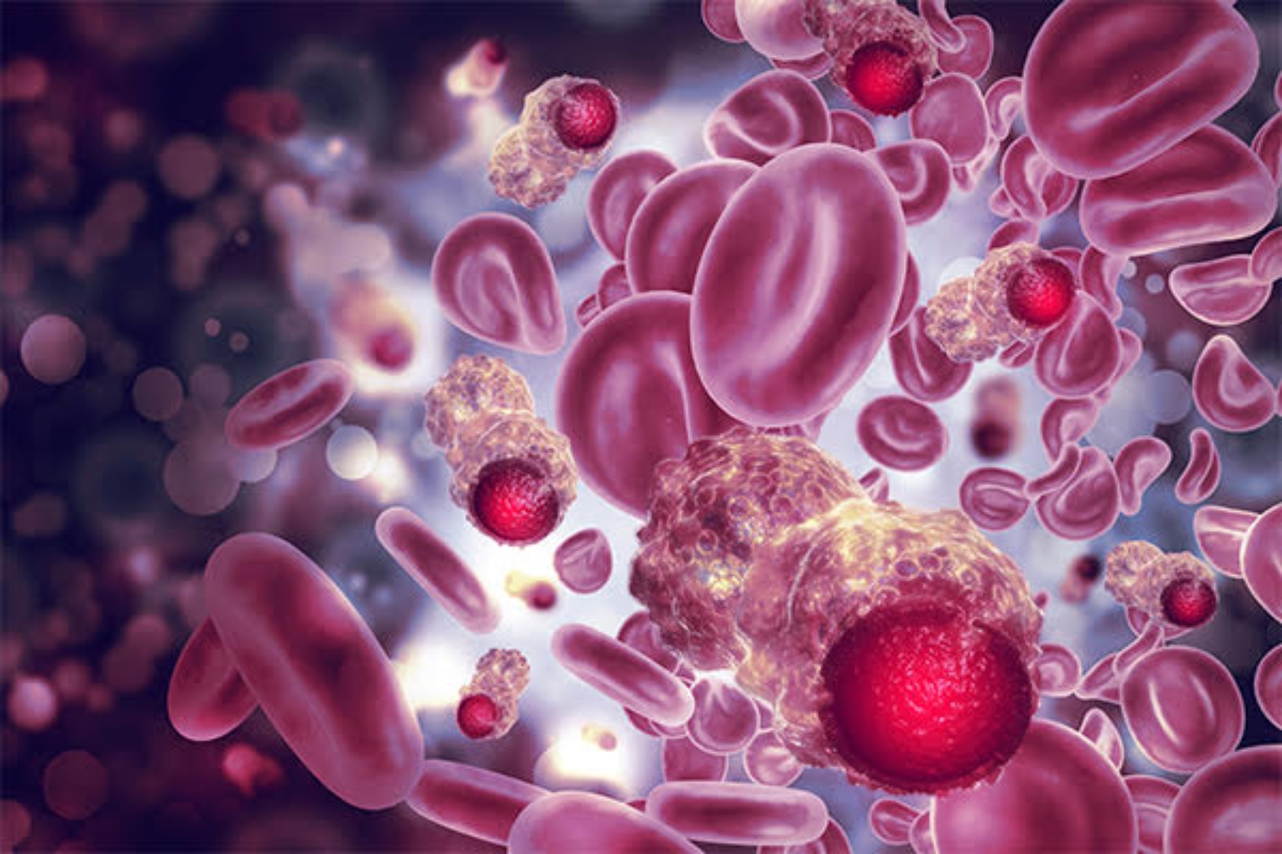 Αντιοξειδωτικά όγκοι: Τα αντιοξειδωτικά διεγείρουν τη ροή του αίματος στους όγκους
