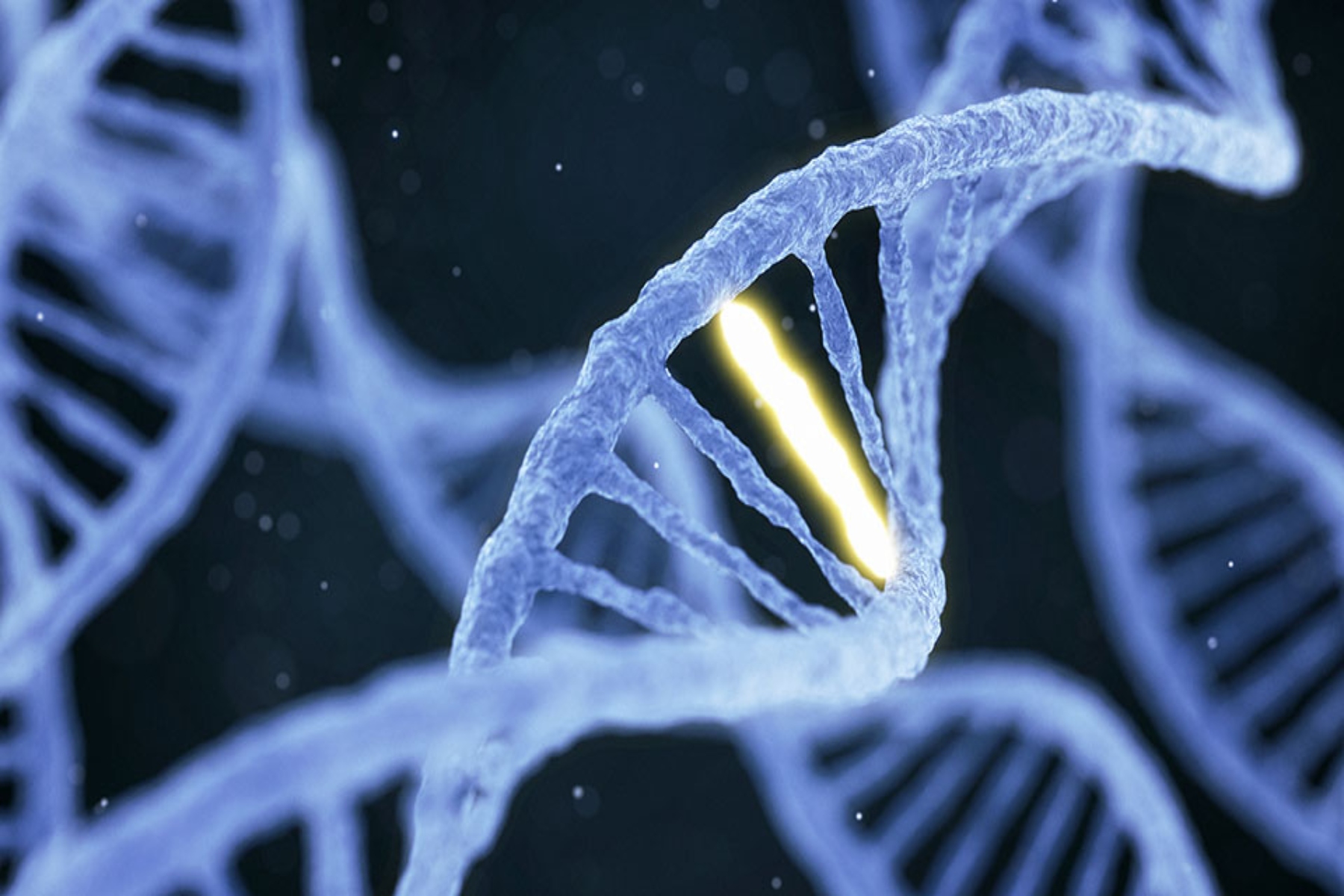 Γονίδια ασθένειες: Αποκαλύπτοντας πέντε γενετικά επηρεαζόμενες ασθένειες
