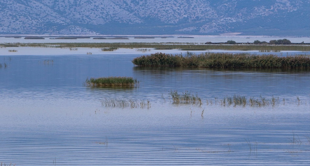 Λίμνη Κάρλα (ΟΦΥΠΕΚΑ): Δεν προκύπτει σημαντικό πρόβλημα ρύπανσης, δείχνουν οι πρώτες μετρήσεις του Οργανισμού