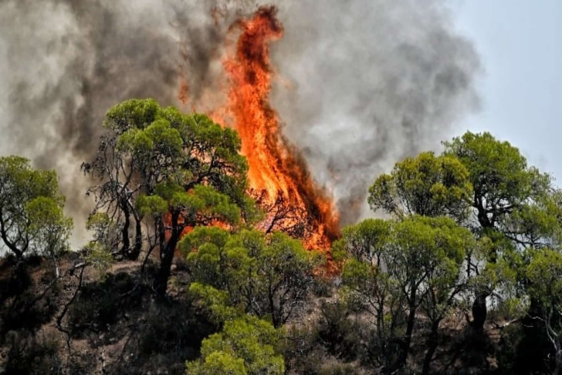 Πώς επηρεάζουν οι πυρκαγιές την ψυχική μας υγεία;