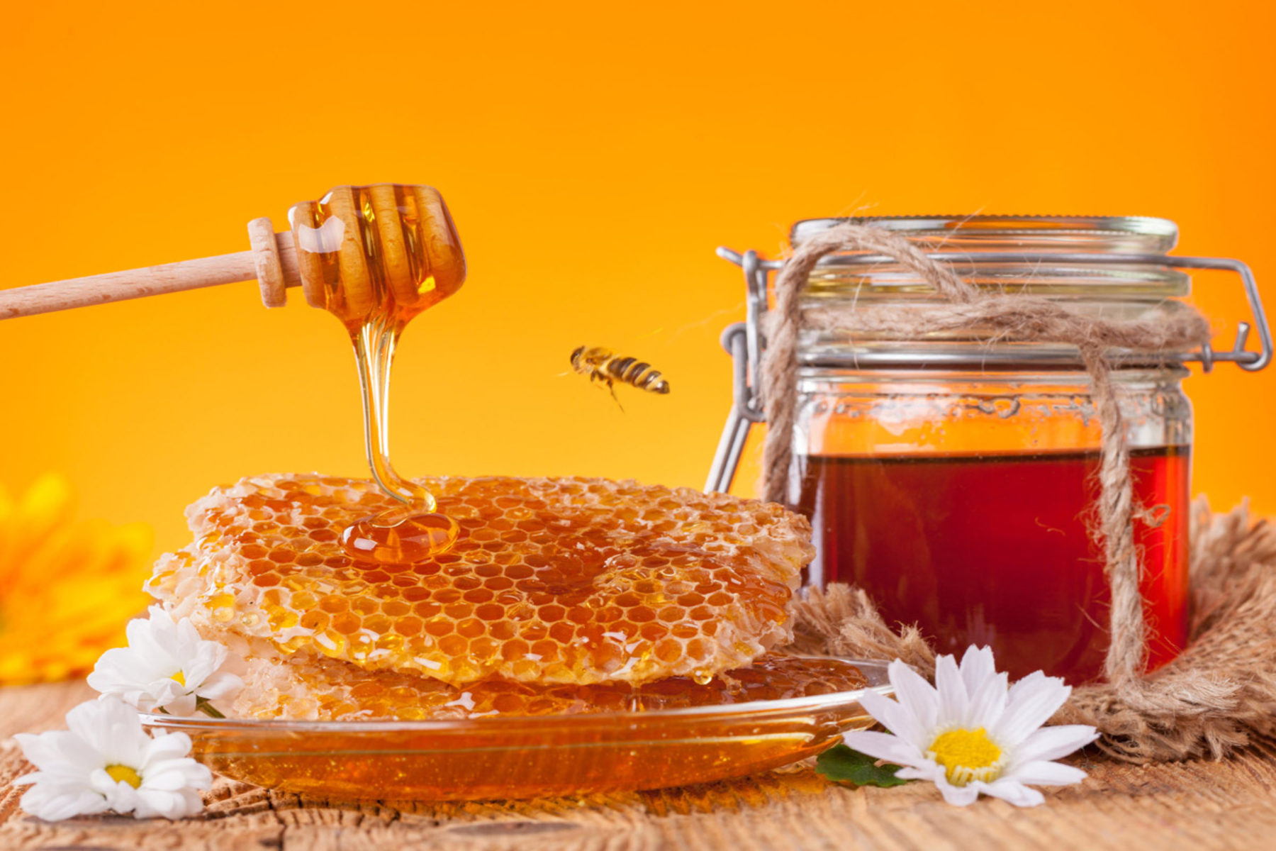 Μέλι: Πόσο σημαντικό είναι το μέλι για τον οργανισμό μας;
