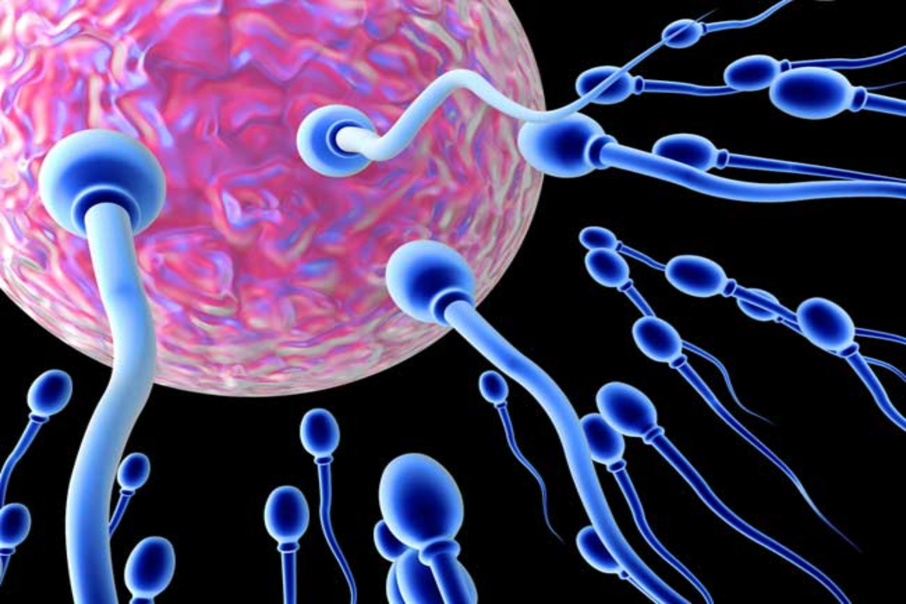 Γονιμότητα αλκοόλ: Ποιος ο σύνδεσμος ανάμεσα στο αλκοόλ και την ανδρική γονιμότητα;