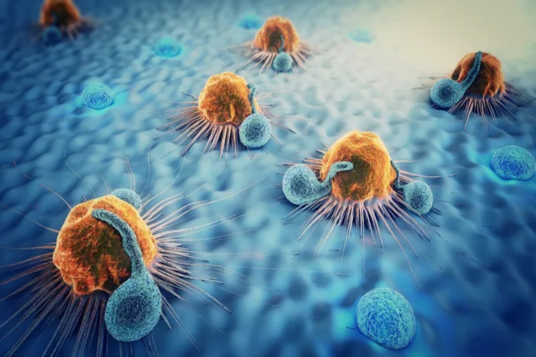 Καρκίνος στομάχου: Πώς συμβάλλουν βακτήρια που βρίσκονται συνήθως στο σώμα;