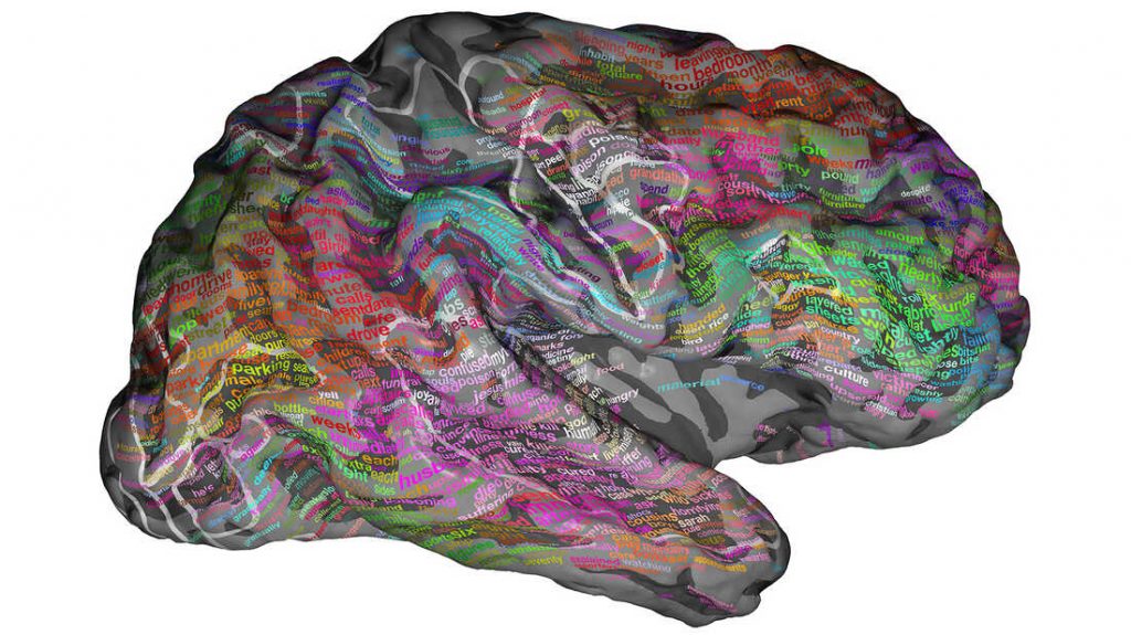 Ξετυλίγοντας τα μυστήρια για την κατανόηση του πολύπλοκου οργάνου του εγκεφάλου