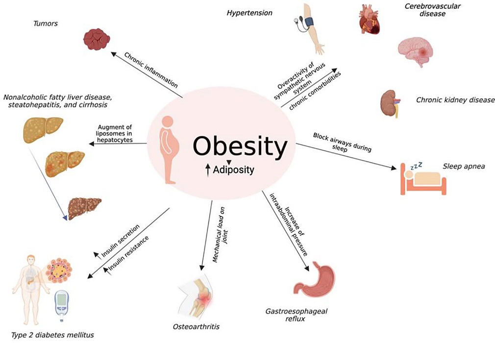 Πεπτίδια: Κατανόηση του ρόλου του ινσουλινοτροπικού πολυπεπτιδίου στη διαχείριση του διαβήτη και της παχυσαρκίας