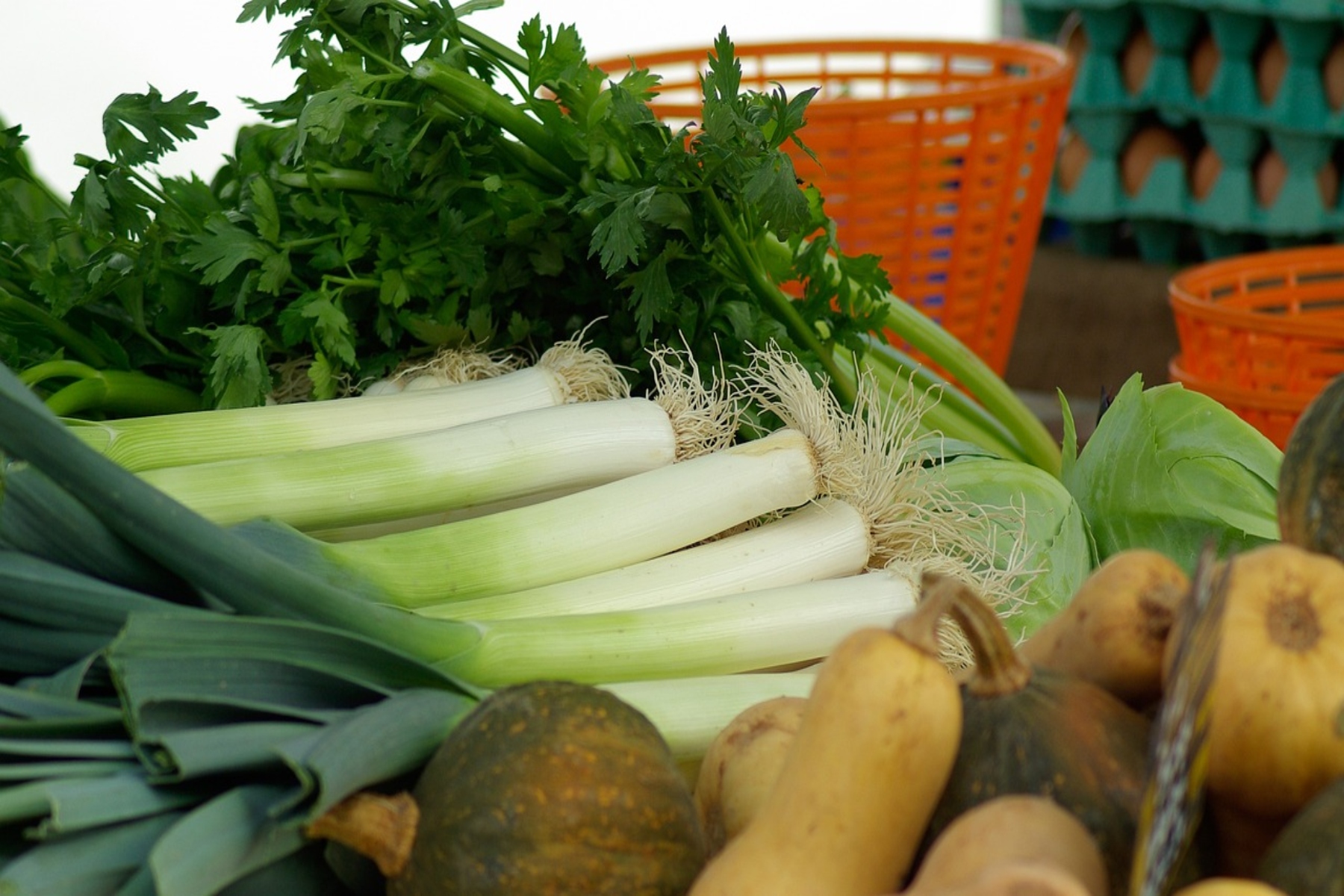 Πράσο: Αντιοξειδωτικό λαχανικό με σπουδαία οφέλη υγείας