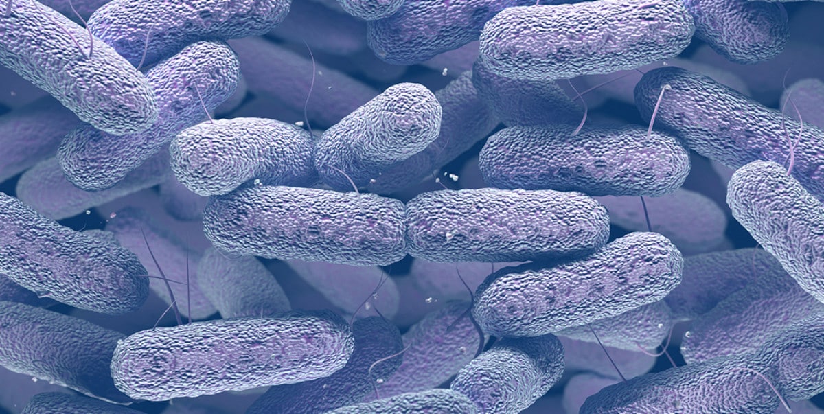 Klebsiella Pneumoniae: Διαπιστώθηκε ταχεία ενδονοσοκομειακή και διαπεριφερειακή εξάπλωση του βακτηρίου