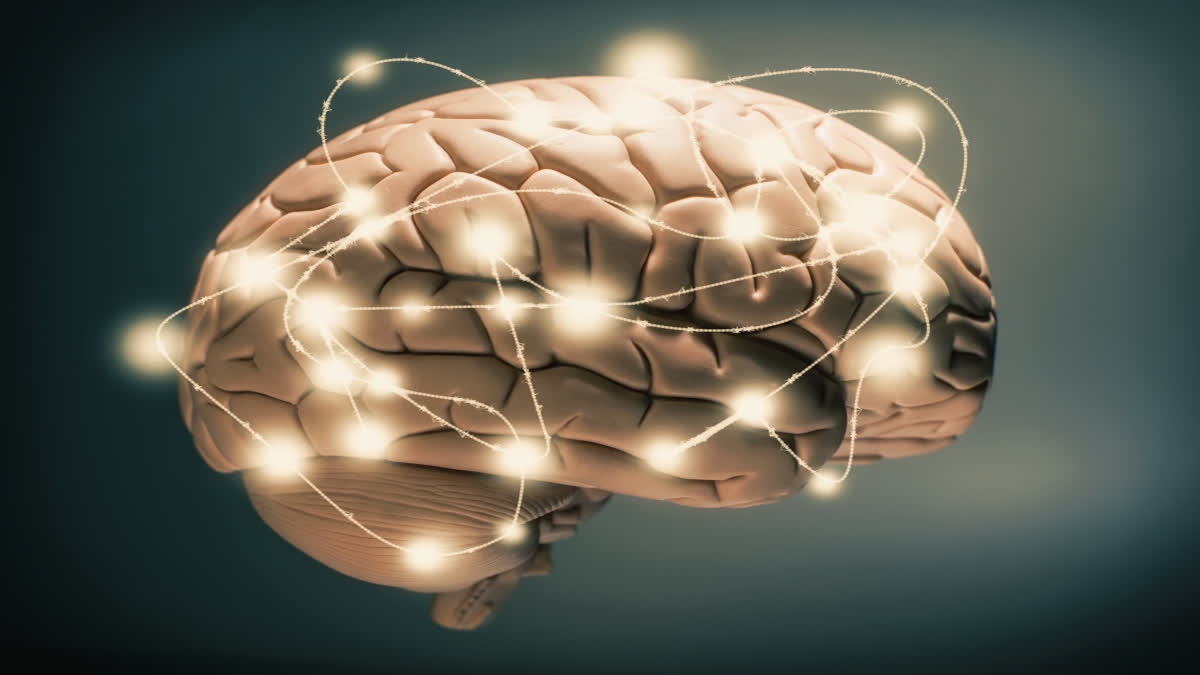 Eγκεφαλικές Kαταστάσεις και Eγκεφαλικά Kύματα: Μπορούμε να τα ελέγξουμε;
