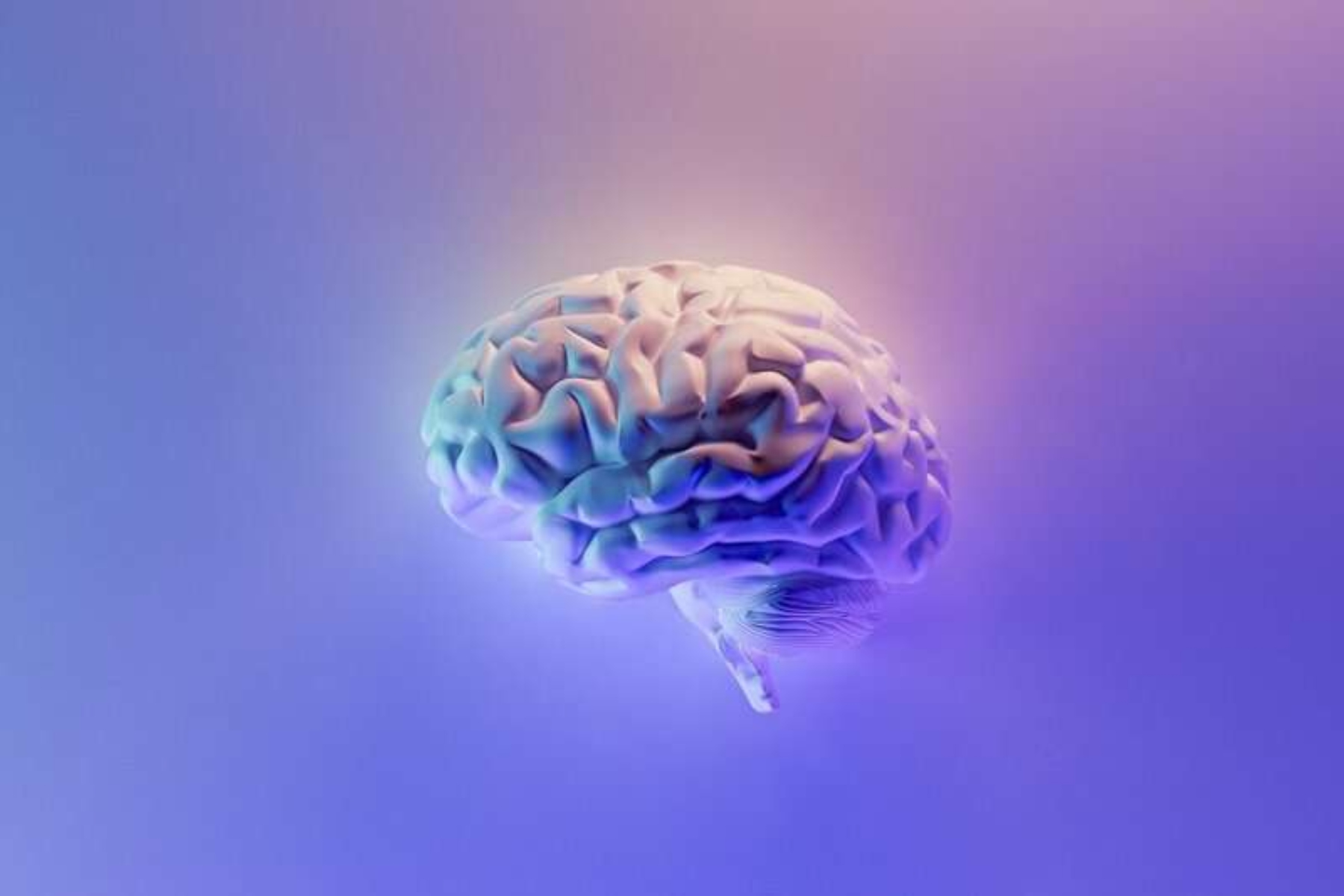 Ο εγκέφαλος αντιμετωπίζει τη γήρανση επιστρατεύοντας άλλες περιοχές του εγκεφάλου