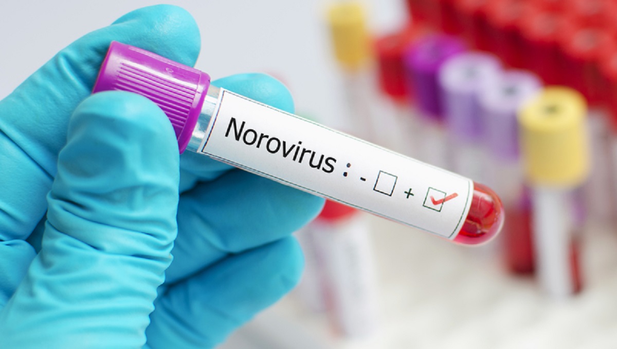 Νοροϊός: Δεν υπάρχει ξέσπασμα του ιού στο Η.Β – γιατί λοιπόν αναφέρεται απότομη αύξηση των ασθενών;