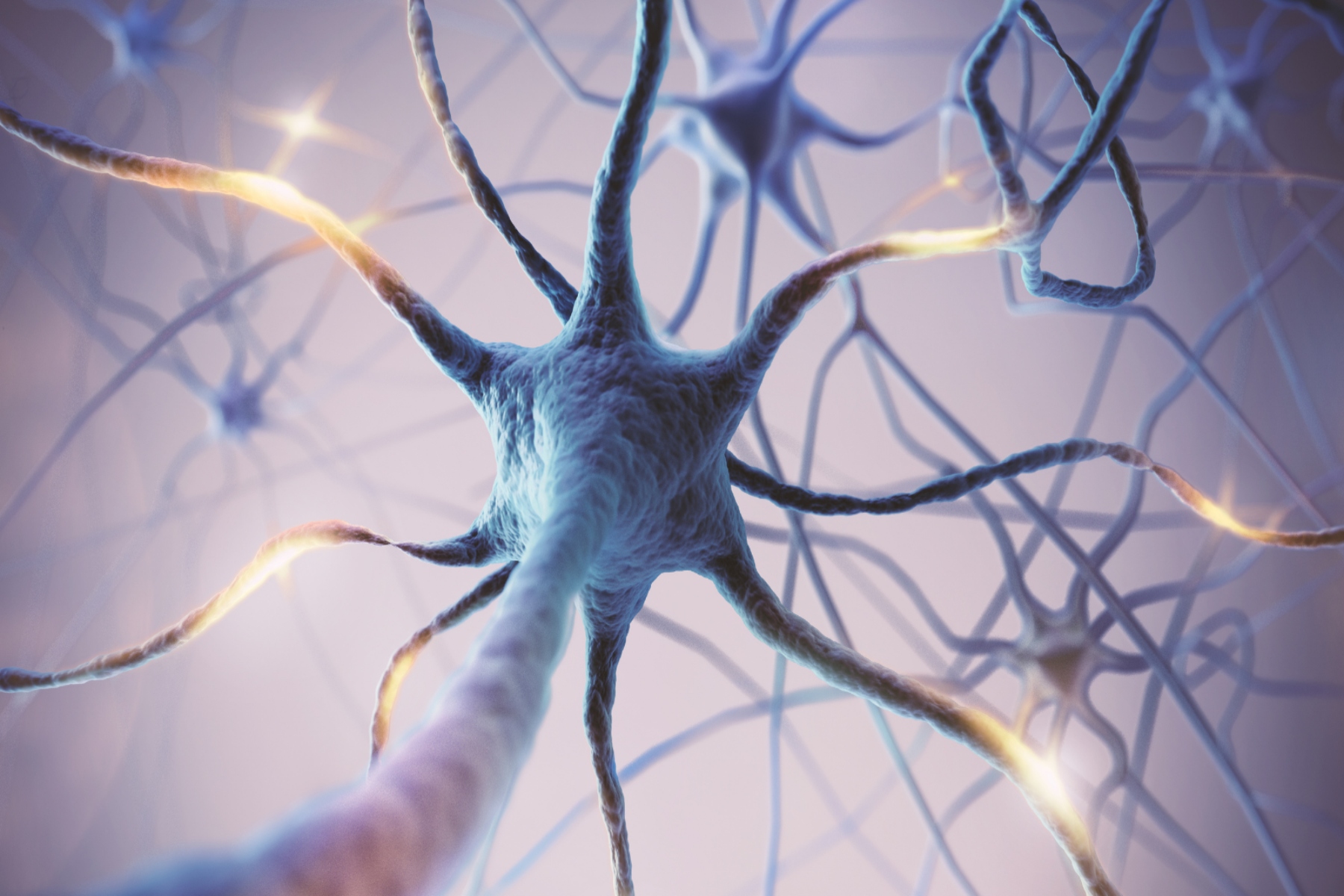 Νευρωνικό μοντέλο ανοίγει το δρόμο για νέες θεραπείες για το Αλτσχάιμερ