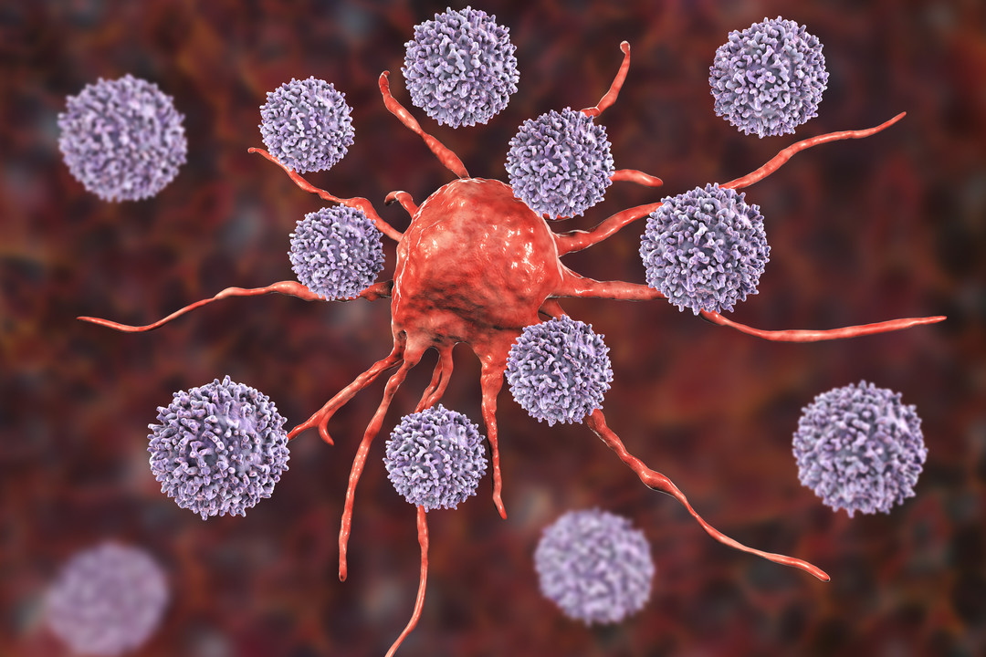 Καρκίνος: Ερευνητές εντοπίζουν γιατί η ανοσοθεραπεία της νόσου μπορεί να προκαλέσει κολίτιδα