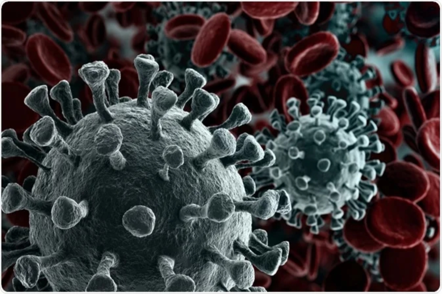 ΕΟΔΥ: 73 θάνατοι από Covid & 69 διασωληνωμένοι – 8 θάνατοι από γρίπη