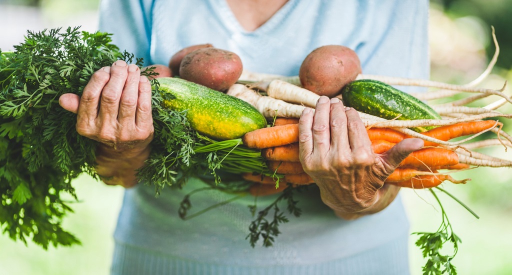Αντιγήρανση: Δίαιτες πλούσιες σε φυτικές πρωτεΐνες βοηθούν τις γυναίκες να παραμένουν υγιείς καθώς γερνούν