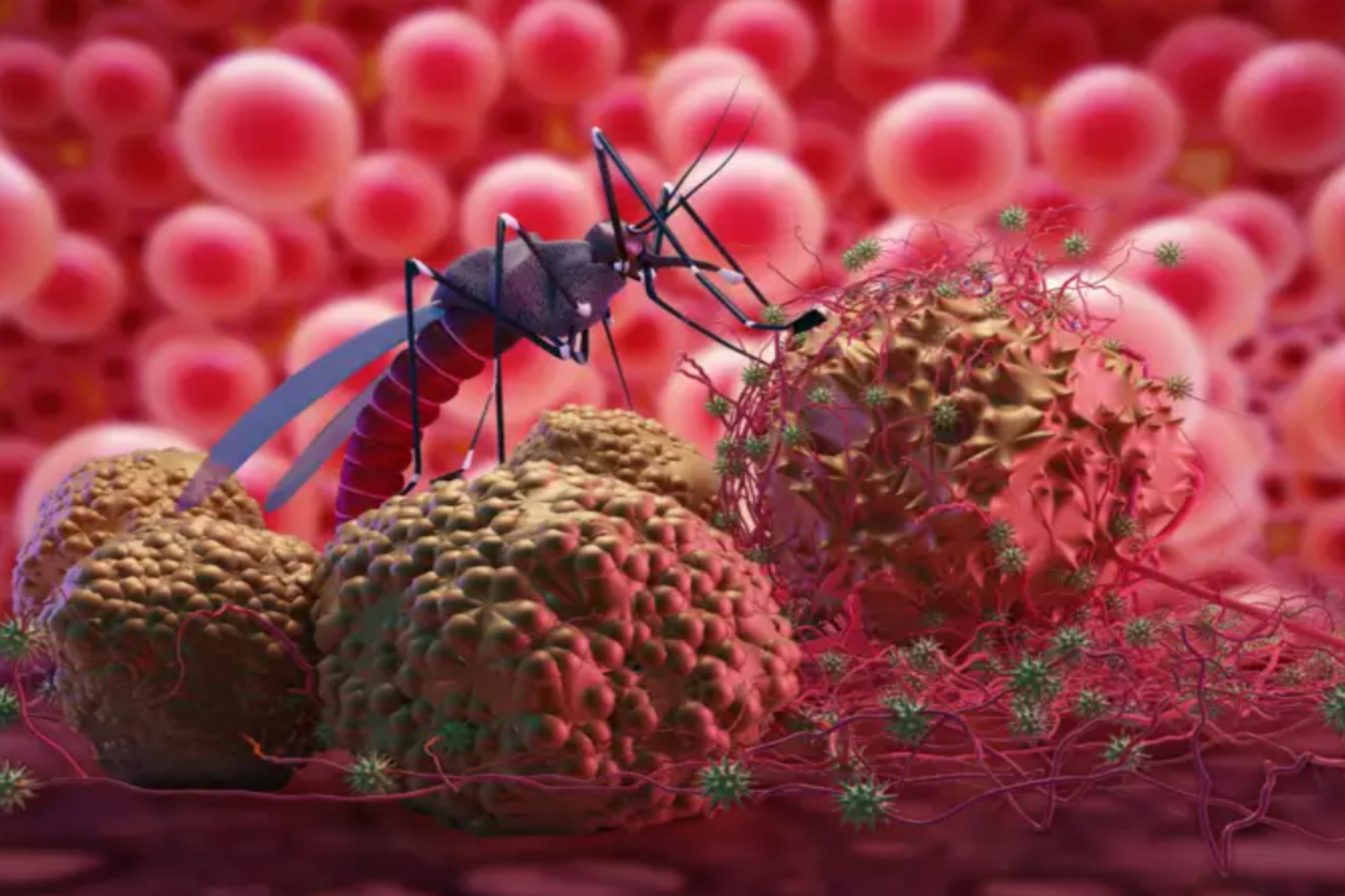 Ελονοσία τεστ: Απλούστερη εξέταση ελονοσίας 12 φορές πιο γρήγορη