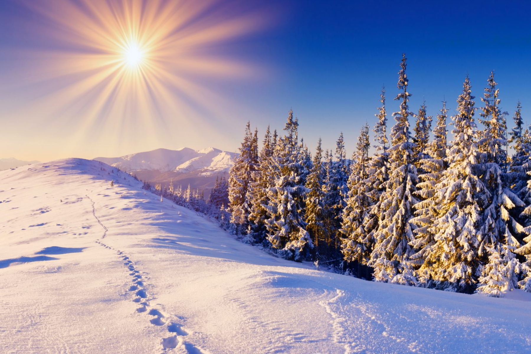 Χειμωνιάτικος ήλιος: Η εξοικονόμηση λίγων λεπτών μπορεί να μεταμορφώσει την υγεία σας