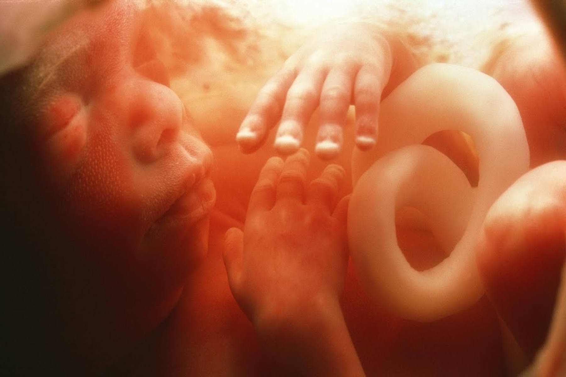 Αναπνοή έμβρυα: Πώς αναπνέουν τα έμβρυα μέσα στη μήτρα;