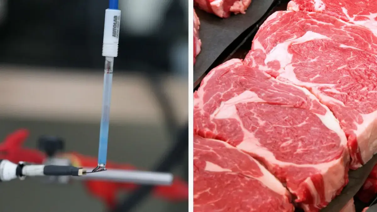 Χαλασμένο Κρέας: Πρωτοποριακός βιοαισθητήρας το αναγνωρίζει