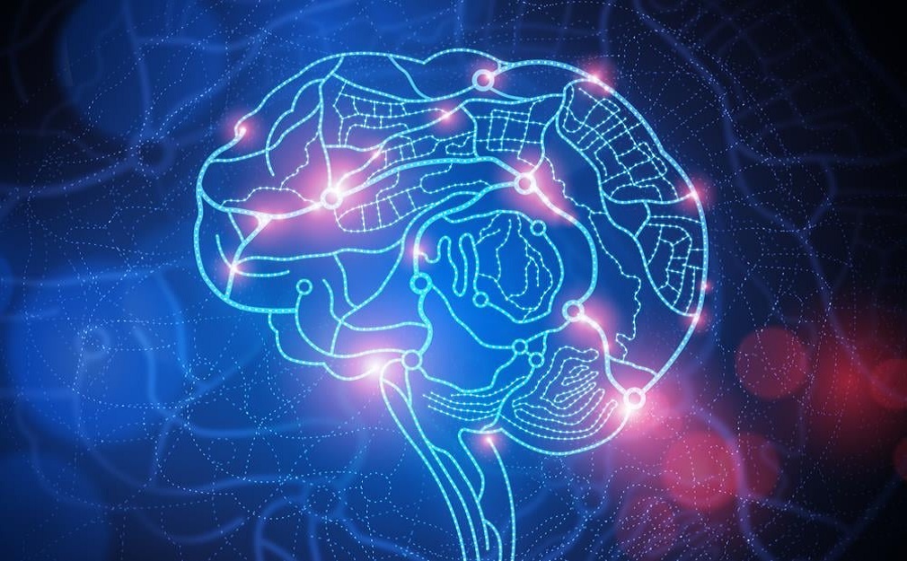 Υποξία: Νέα μέθοδος απεικόνισης φωτίζει το ταξίδι του οξυγόνου στον εγκέφαλο