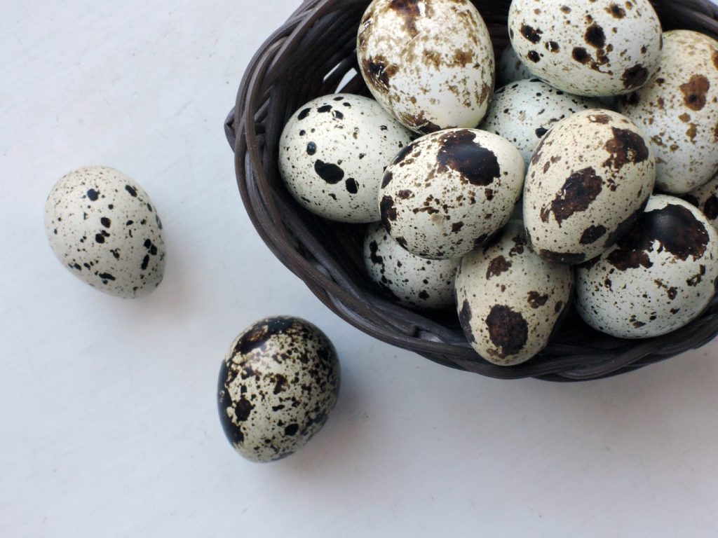 Αυγά ορτυκιού - Μια πραγματική διατροφική υπερδύναμη