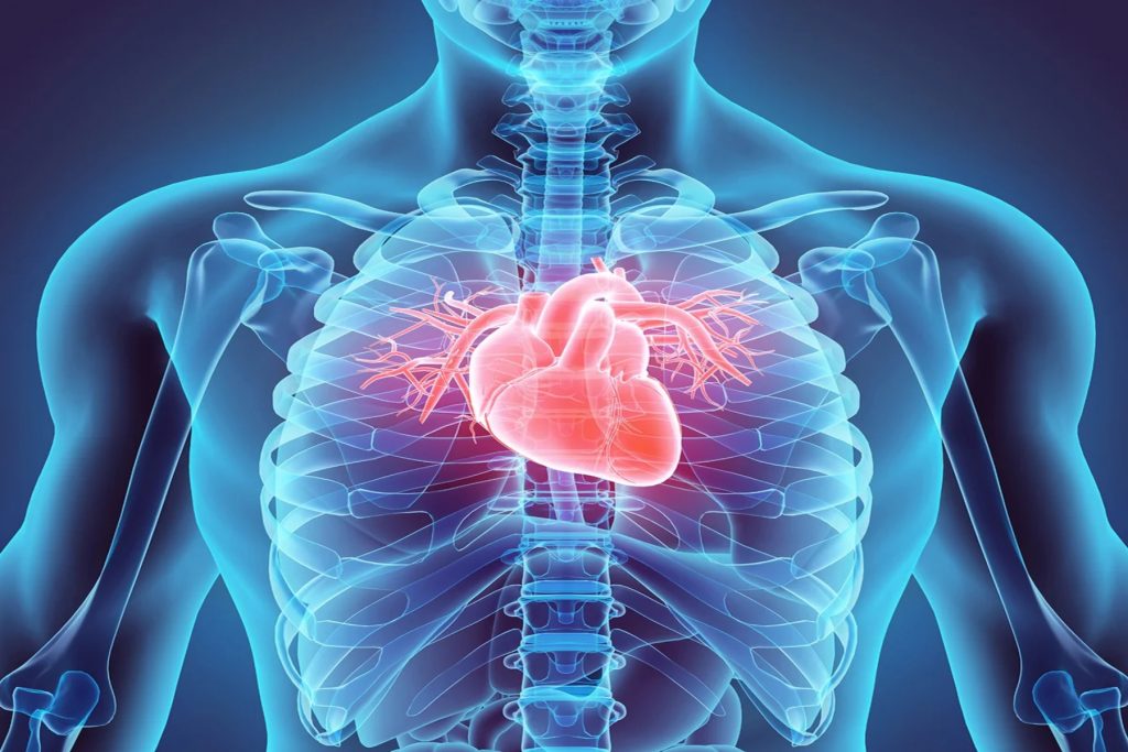 Τι είναι η καρδιακή ανεπάρκεια και ποια τα συμπτώματά της;