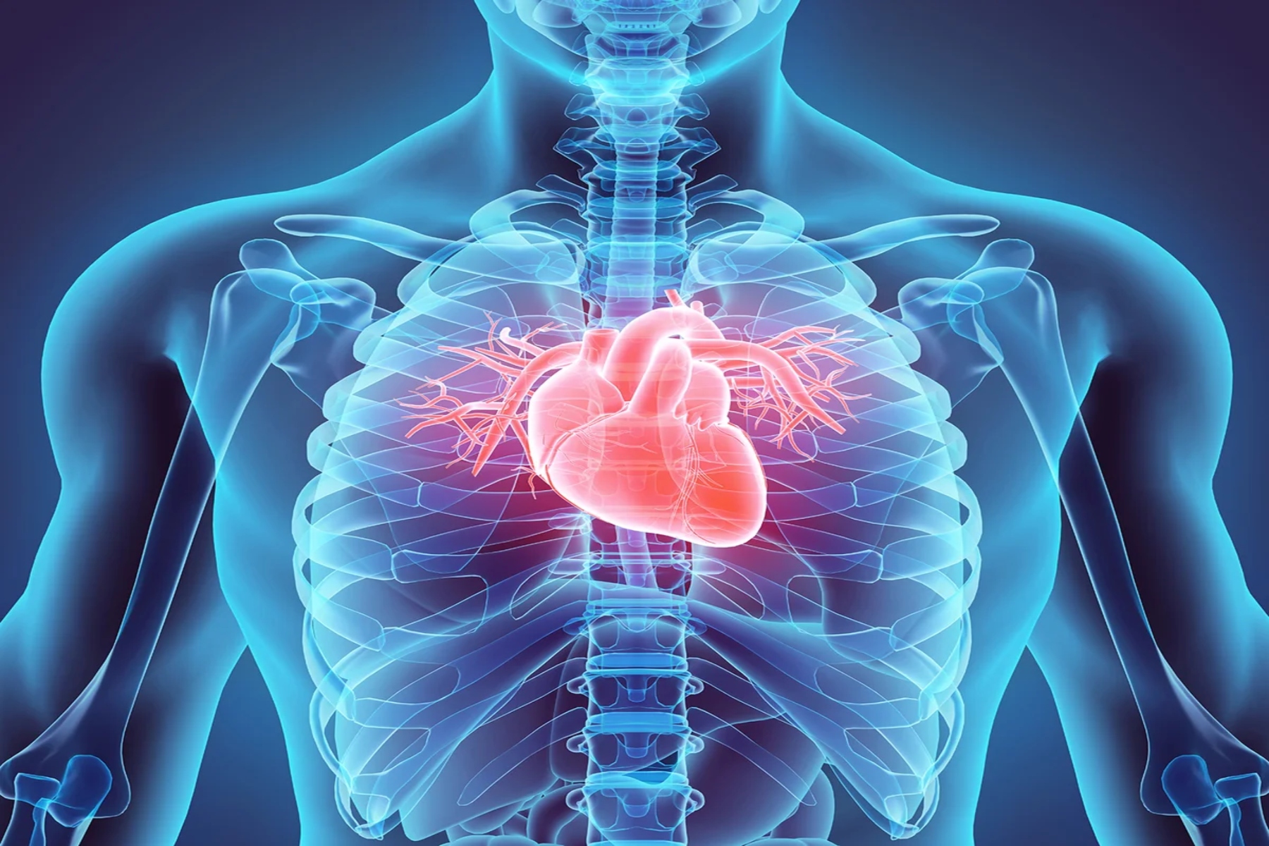 Καρδιακή ανεπάρκεια: Τι είναι η καρδιακή ανεπάρκεια και ποια τα συμπτώματά της;