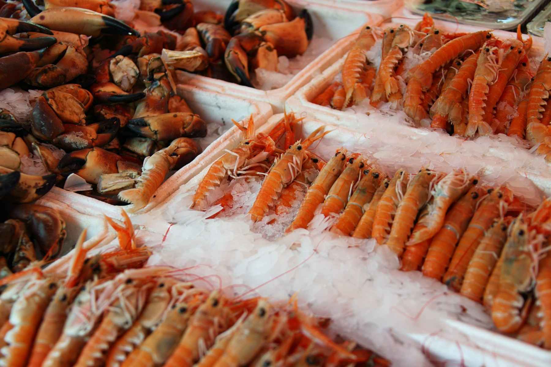 Σαρακοστή και διατροφή :Τι να προσέχεις όταν αγοράζεις θαλασσινά;