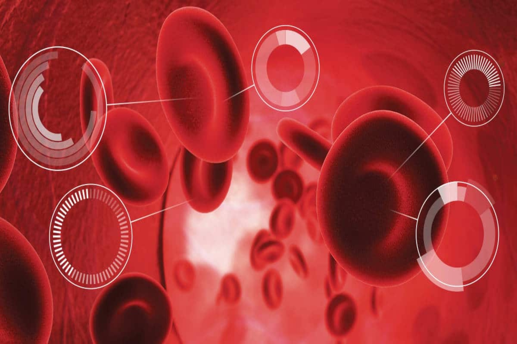 Εξετάσεις αίματος: Ποιες είναι οι σημαντικότερες εξετάσεις αίματος και κάθε πότε πρέπει να τις κάνουμε;