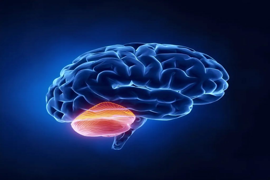  Πώς ο εγκέφαλός μας αντιλαμβάνεται τη θέση και την κίνηση του σώματος;