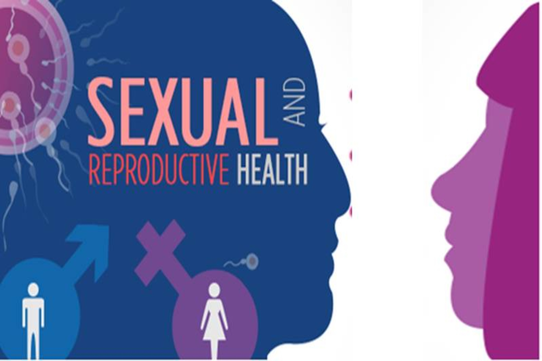 Self-Care Wheel: Προώθηση της σεξουαλικής και αναπαραγωγικής υγείας