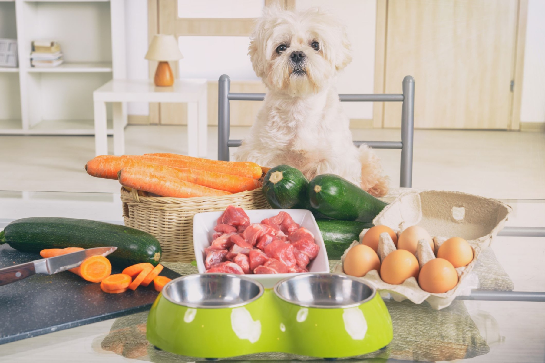 Διατροφή κατοικίδια: Σπιτικό φαγητό για το αγαπημένο σας κατοικίδιο, τον σκύλο