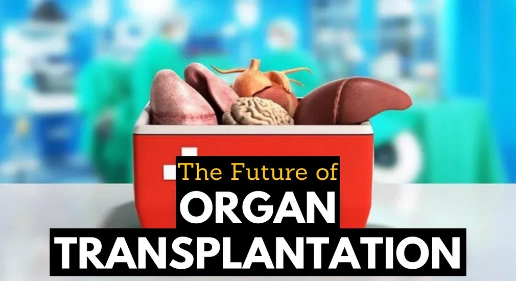 Ξενομεταμόσχευση: Ερευνητής λέει ότι το μέλλον της μεταμόσχευσης οργάνων είναι σχεδόν εδώ