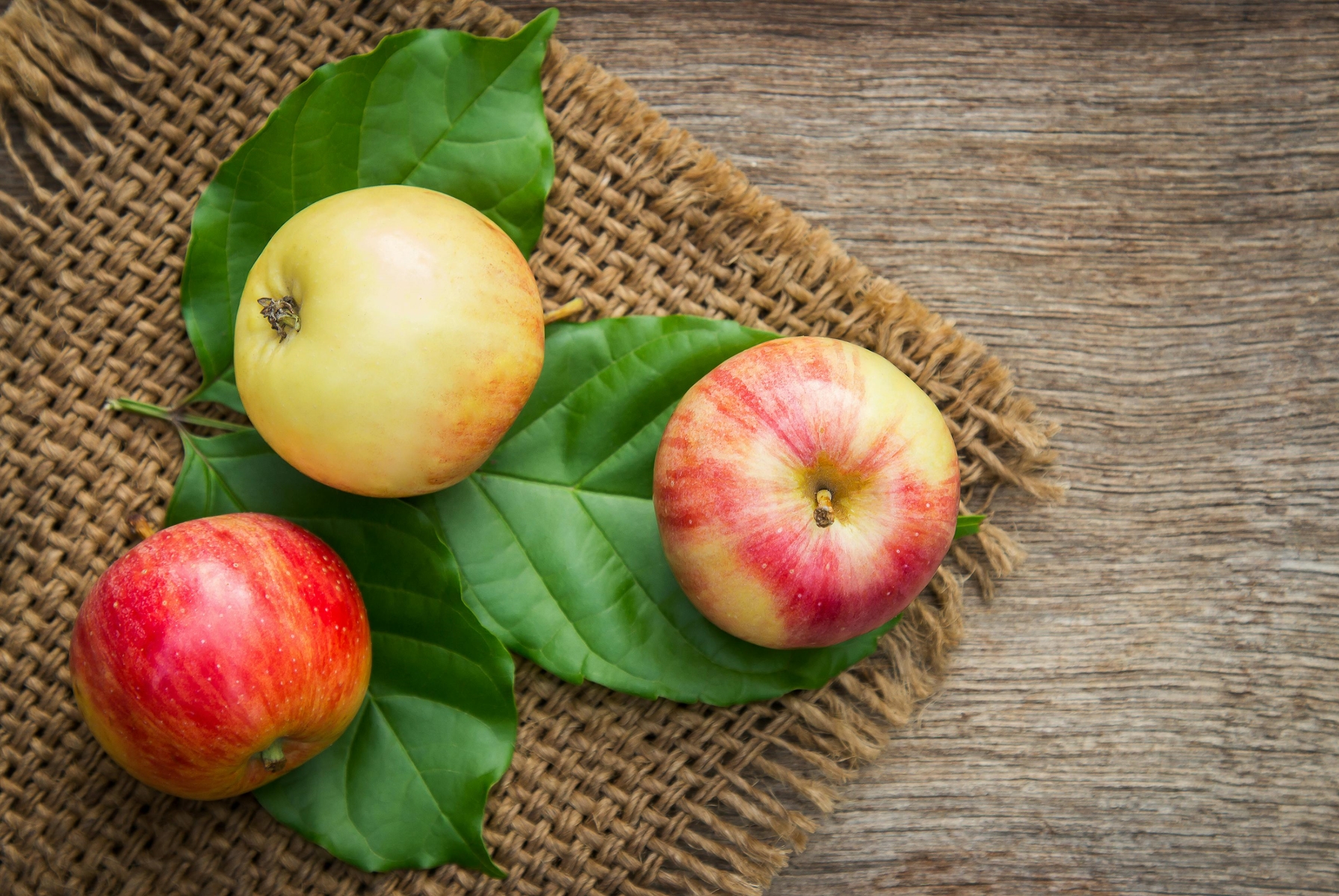 Μήλα: Μπορεί ένα μήλο το πρωί να είναι το μυστικό για την ανακούφιση από τις ημικρανίες;