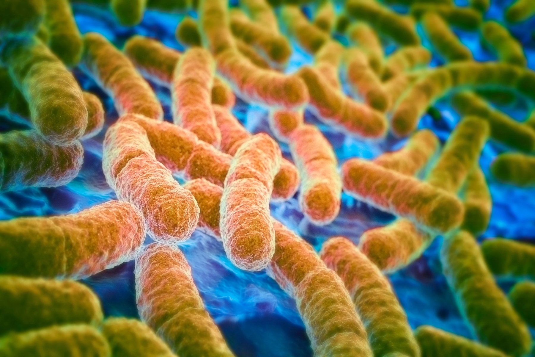 Ο Οργανισμός Υγείας προειδοποιεί για απειλή E. coli σε κιμά