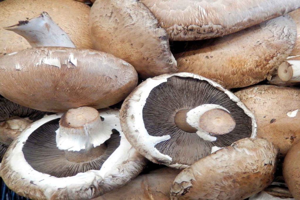 Portobello: Γεμιστά μανιτάρια με παρμεζάνα και σπανάκι 