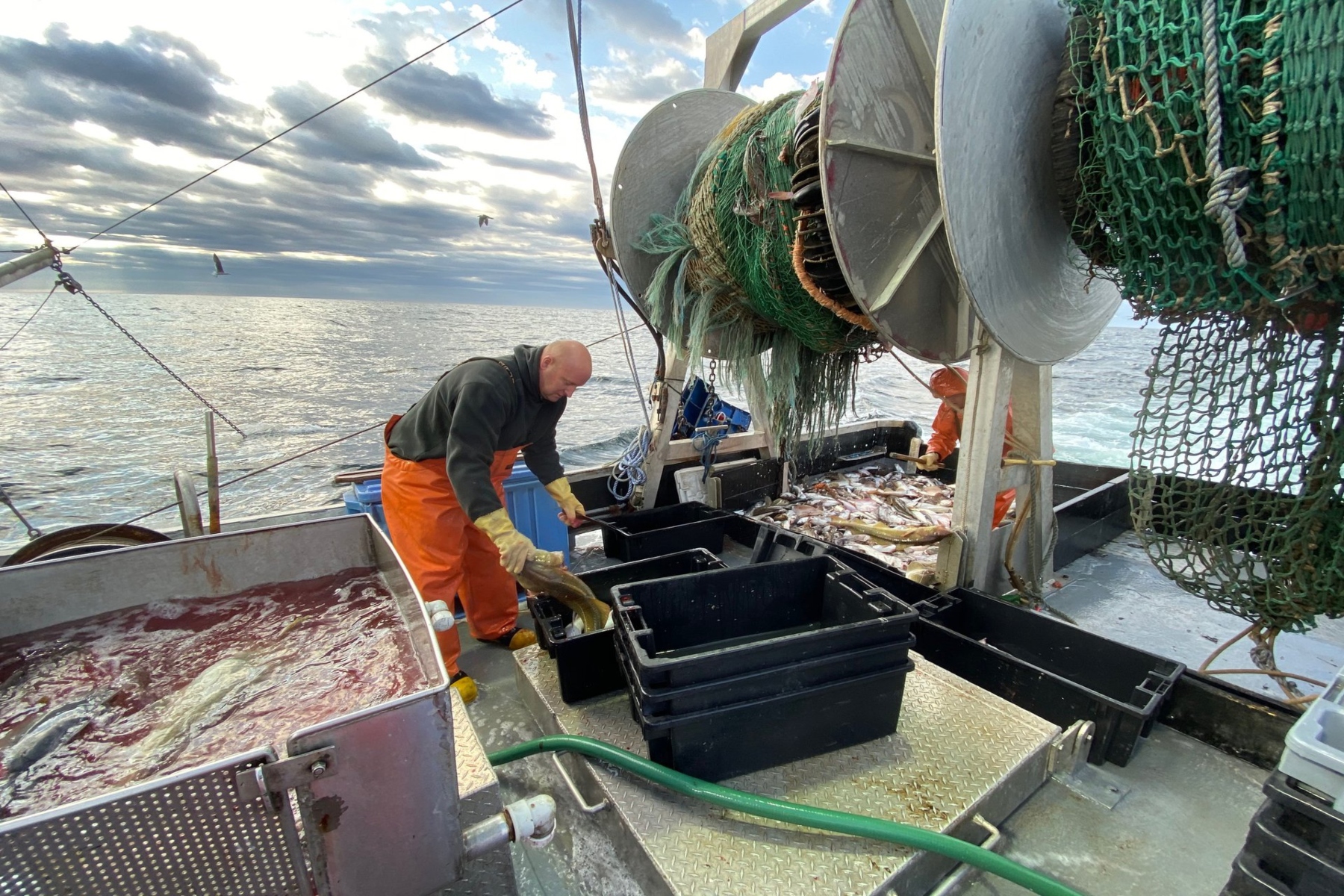 Ψαράς φροντίδα: Ποια είναι η κατάλληλη περιποίηση για όσους δουλεύουν ως ψαράδες;