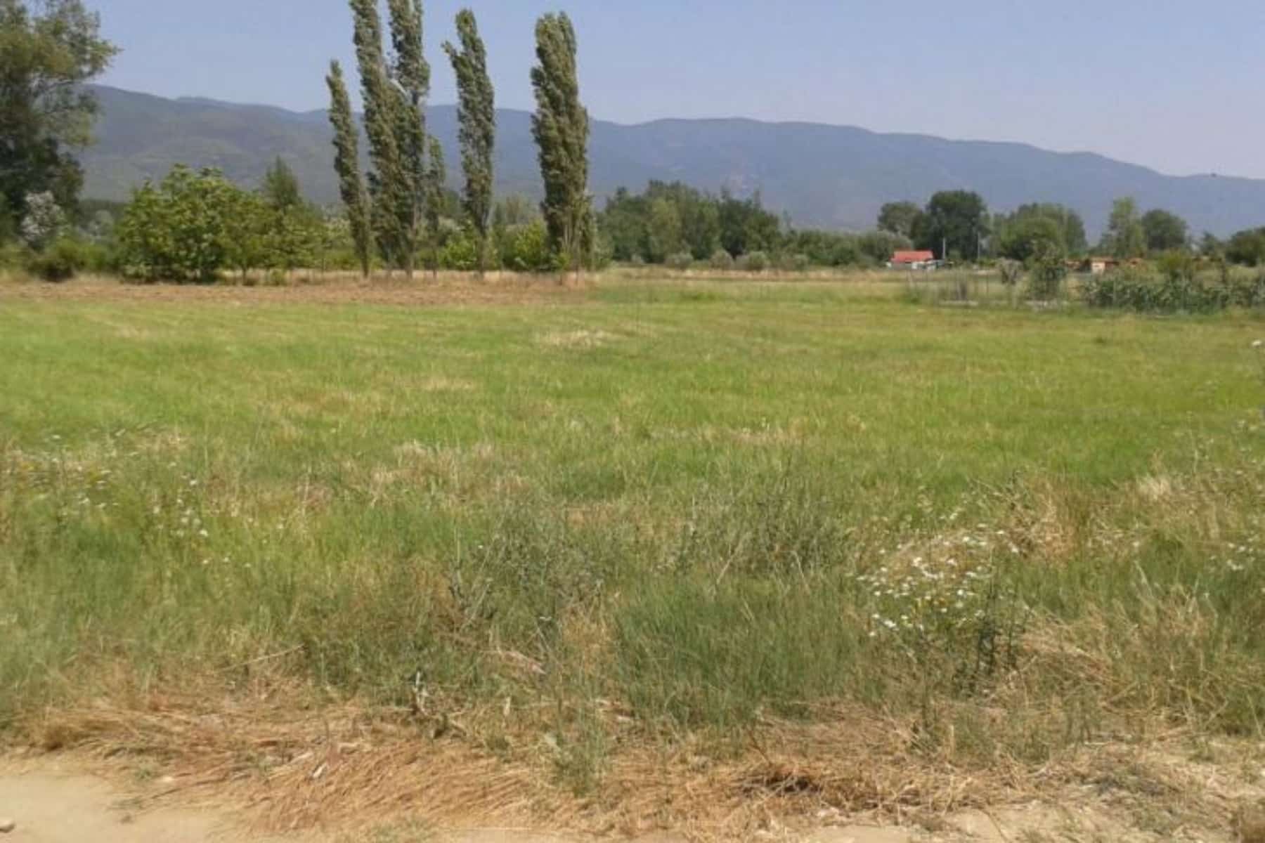 Ακαθάριστα οικόπεδα: Εκπνέει ο χρόνος για τη δήλωση στην πλατφόρμα – Εμπρηστικές “βόμβες”