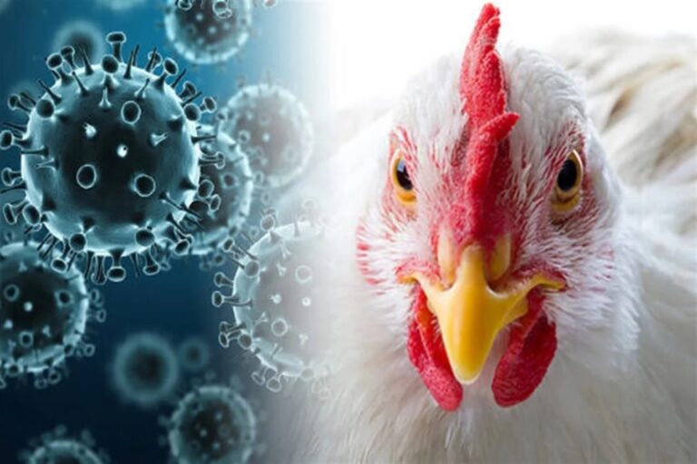 FluWarning: Ψηφιακός συναγερμός για επικίνδυνες μεταλλάξεις
