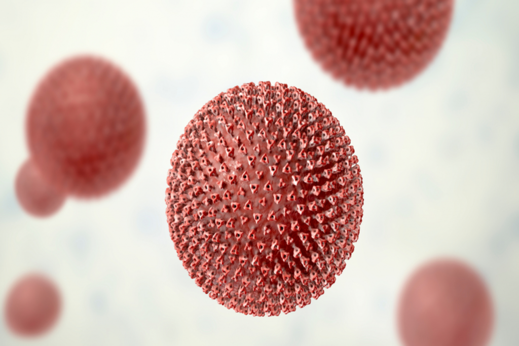 Puumala: Αιμορραγικός πυρετός εξαπλώνεται σε νέες περιοχές της Ευρώπης