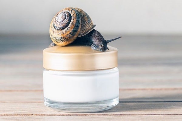 snail1ready