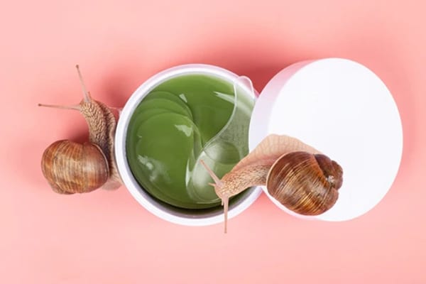 snail3ready
